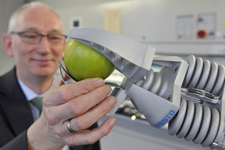 10 Beispiele Für Bionik Bionik Beispiele aus der Natur