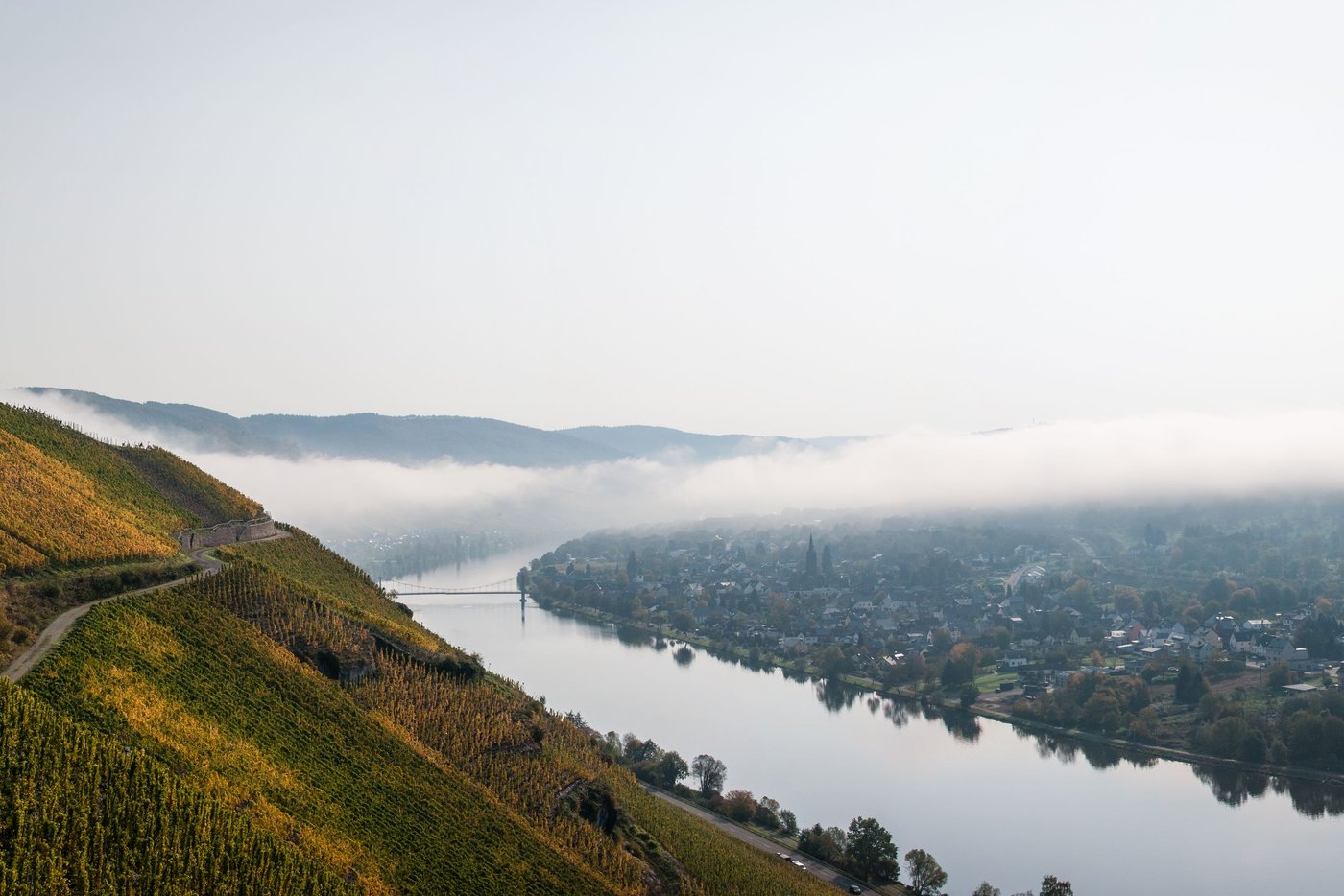 Weinanbau: Wenn der Traum vom eigenen Weingut zum Albtraum wird