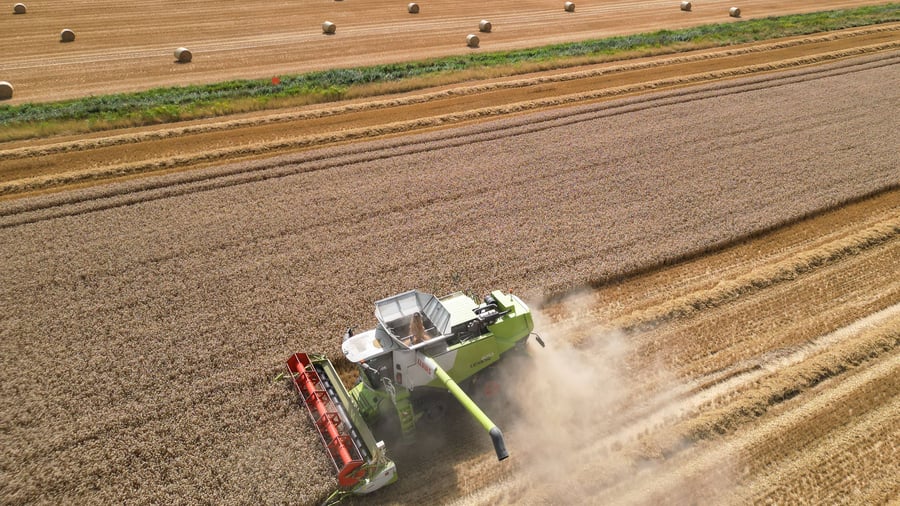 Landwirtschaft: Bauernverband erwartet deutlich kleinere Ernte