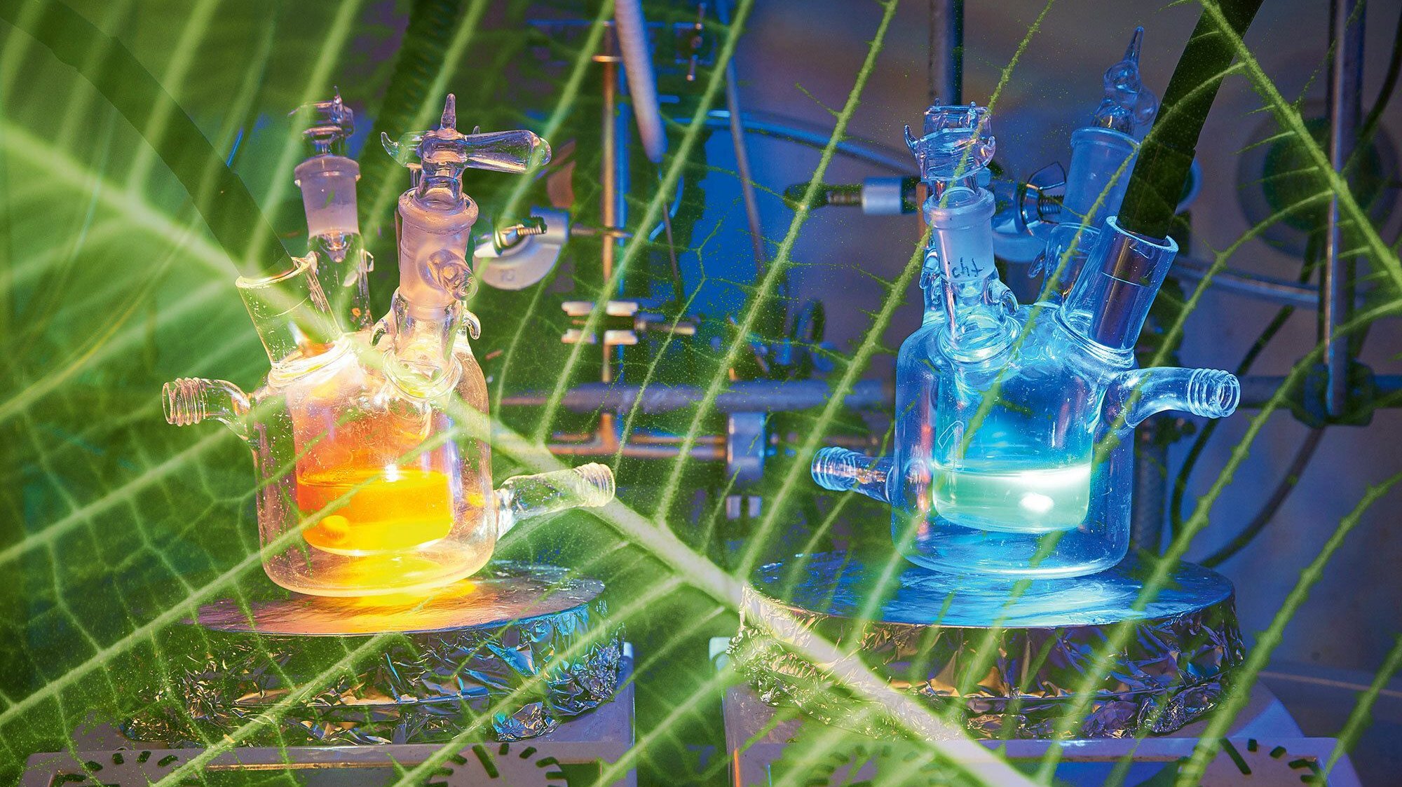 Knstliche Fotosynthese: Gewinnen wir bald Wasserstoff aus Sonnenlicht?