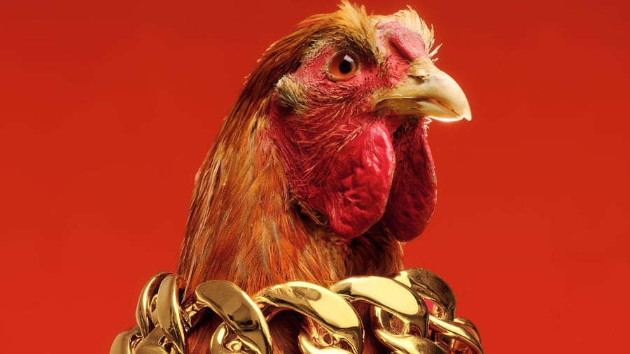 Geldanlage: Die Suche nach dem Depot der Zukunft