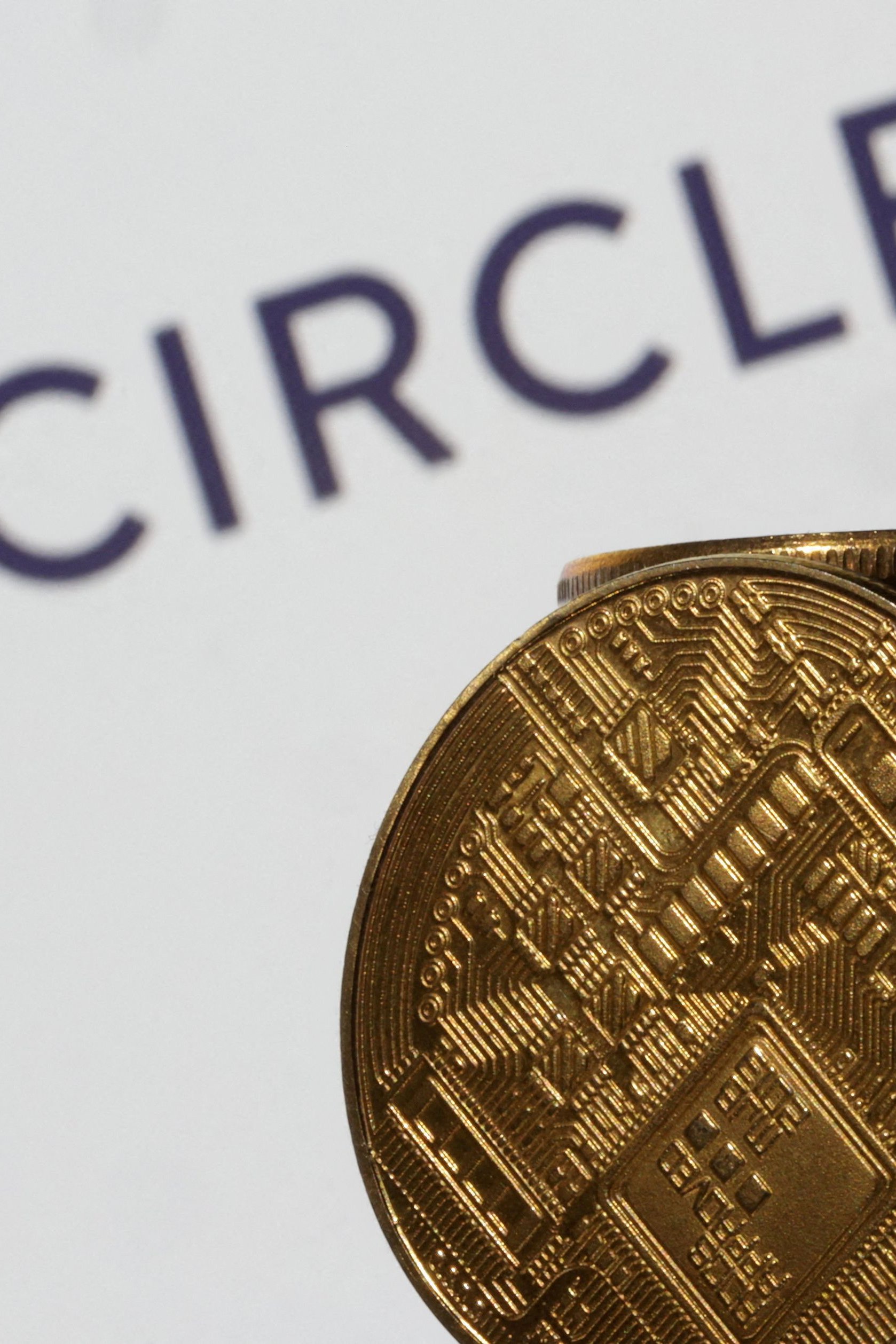 Stablecoin-Anbieter: 180 Kursplus nach Börsengang: Die irre Rally des  Kryptounternehmens Circle