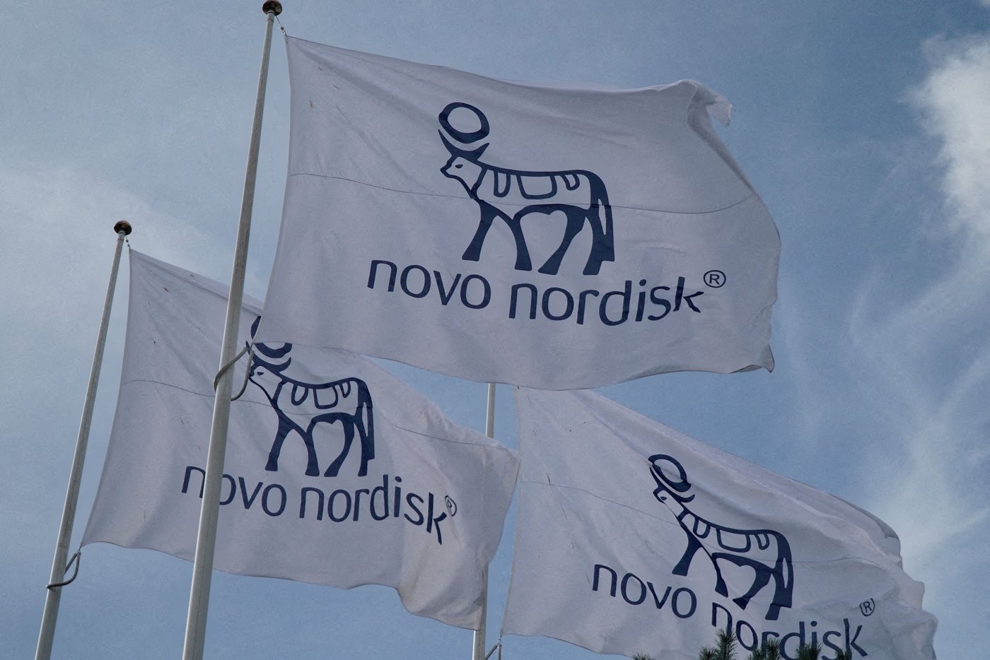 Pharmaceutical industry: CEO of Novo Nordisk resigns
