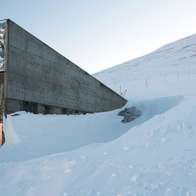 Spitzbergen: Der Saatgut-Tresor Svalbard Seed Vault