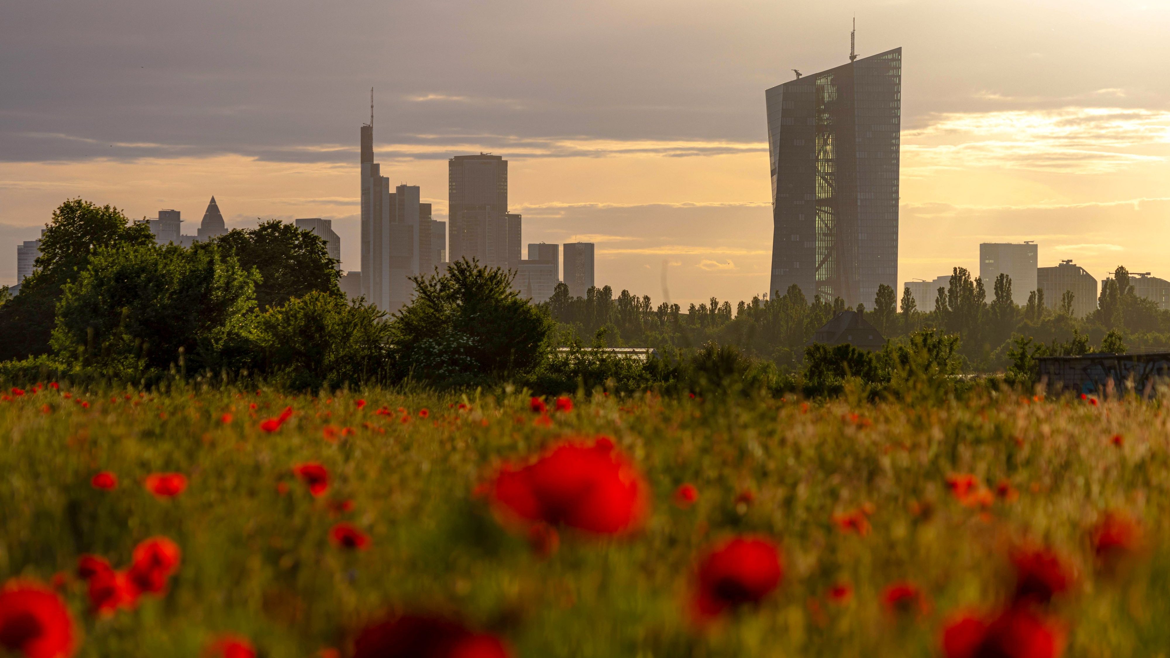 BörsenTag: Substanz in Europa, Risiko in den USA?