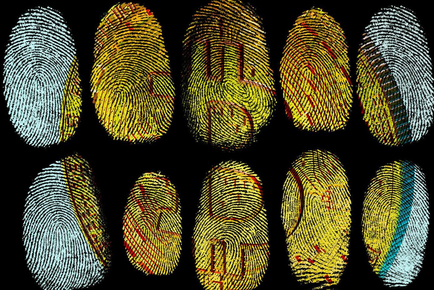 Kryptowährungen als Lösegeld: So holen Sie erpresste Bitcoins wieder zurück