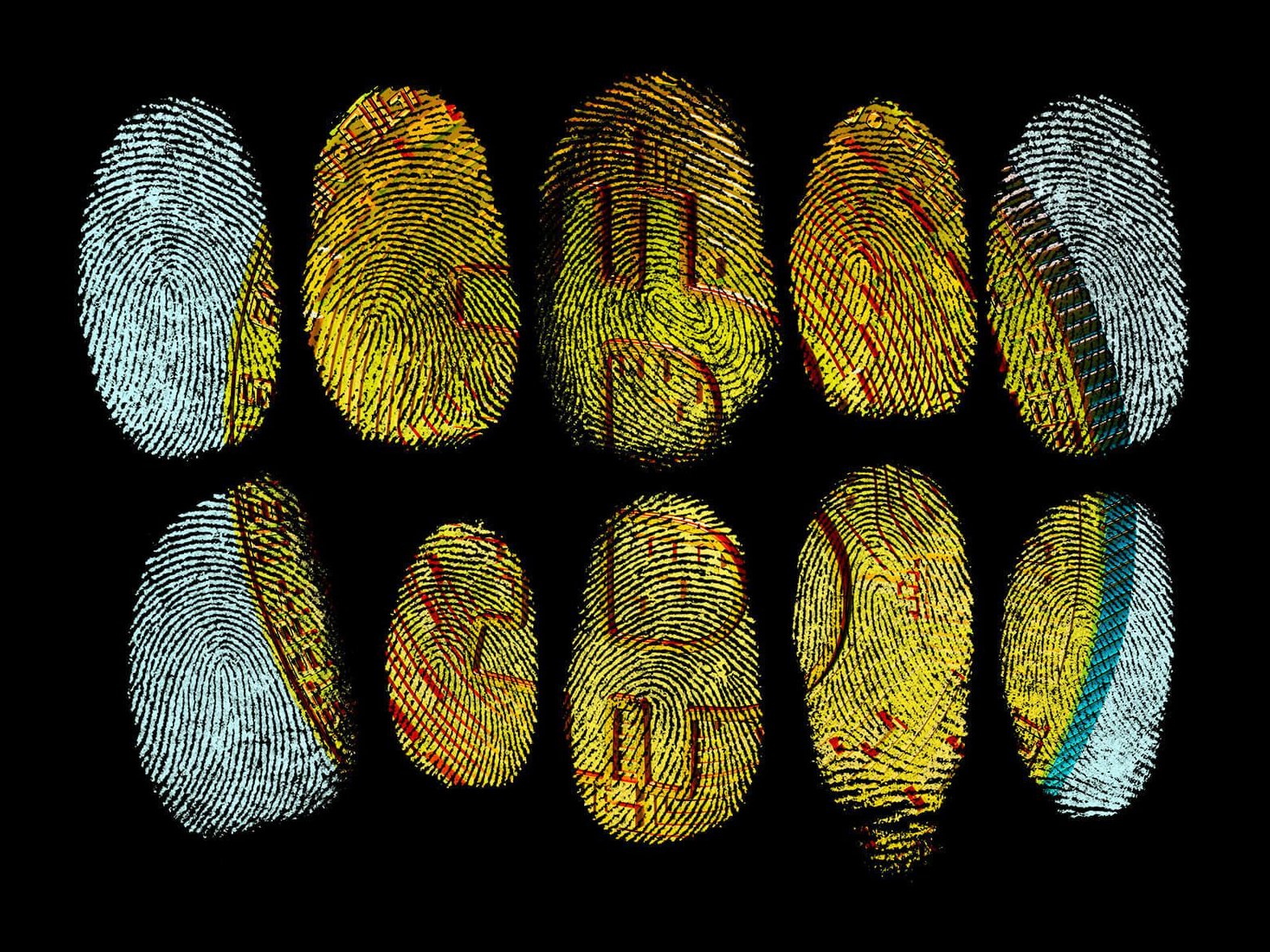 Kryptowährungen als Lösegeld: So holen Sie erpresste Bitcoins wieder zurück