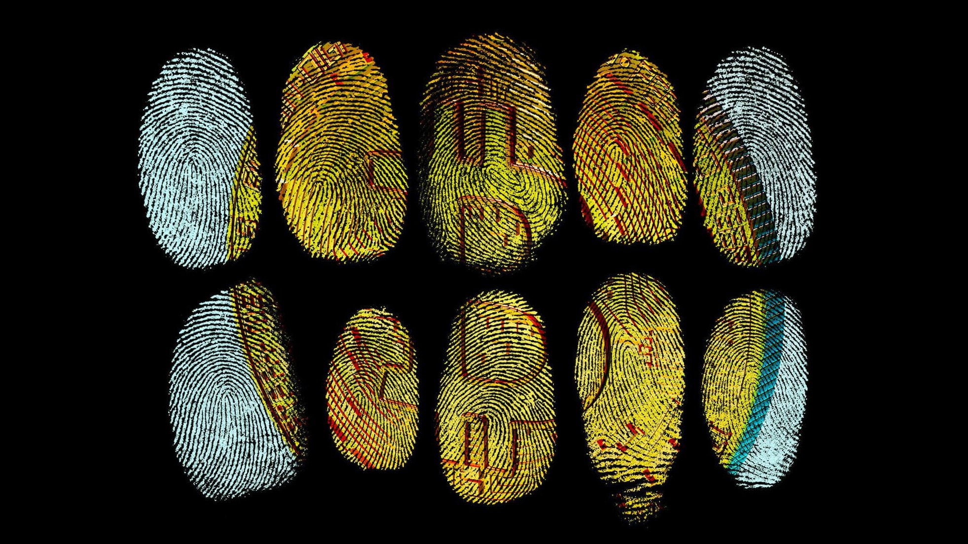 Kryptowährungen als Lösegeld: So holen Sie erpresste Bitcoins wieder zurück
