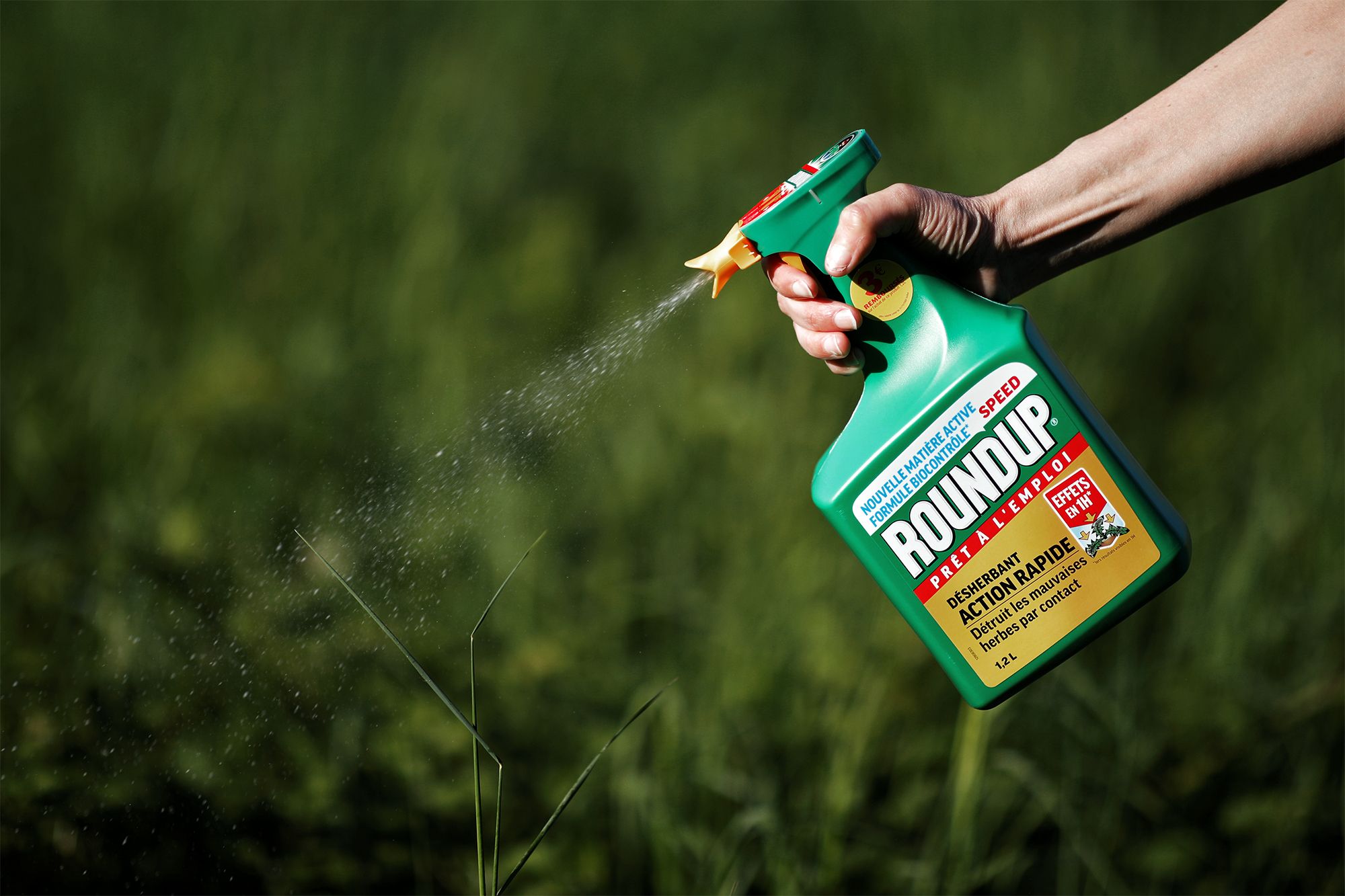 Bayer: Das Glyphosat-Ende scheint nahe  endlich!