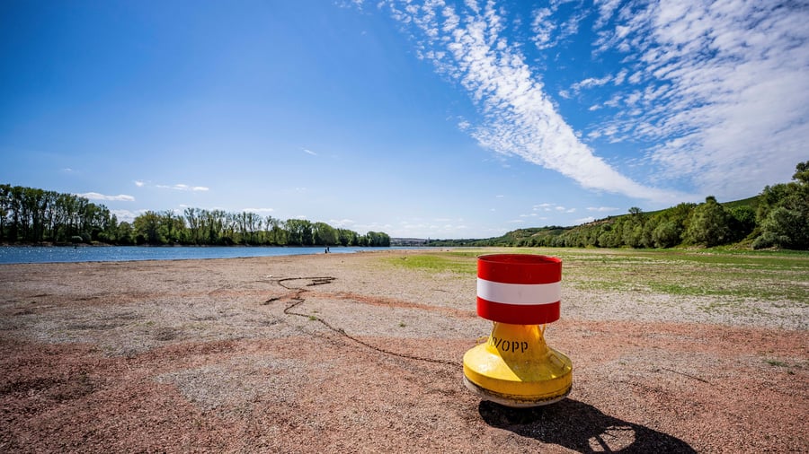 Niedrigwasser: Rhein bald nicht mehr durchgängig befahrbar – Verband warnt