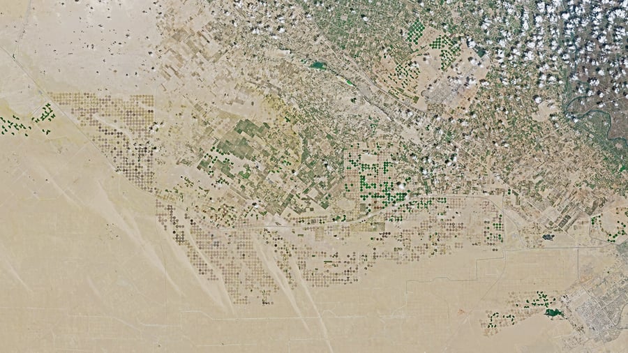 Wirtschaft von oben : Wieso Ägypten hier die Wüste begrünt