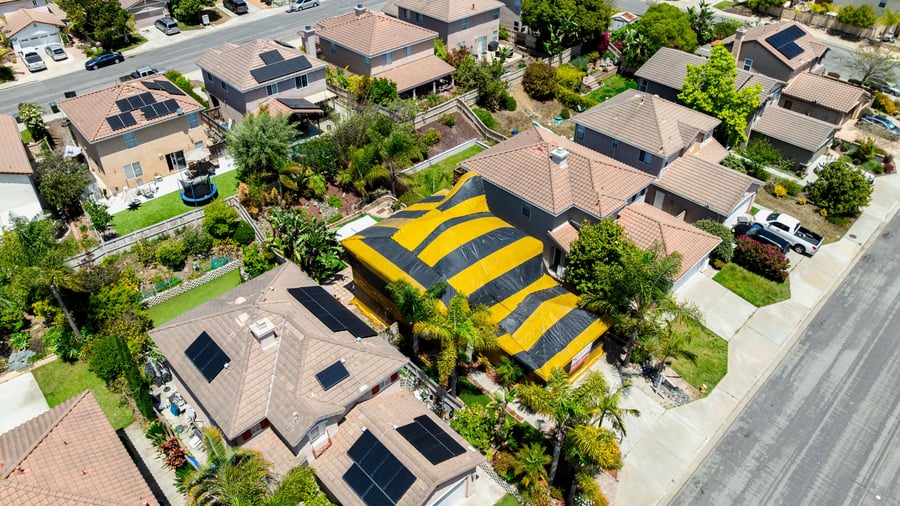 Leben mit Aktien: Warum Kammerjäger-Aktien für Anleger spannend sein können