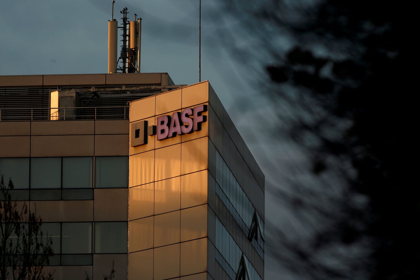 BASF Agrarsparte auf Expansionskurs: Börsengang als nächste Stufe?