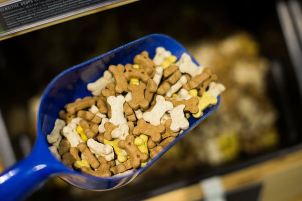 Tierbedarfsversand Zooplus: Investoren bertreffen sich mit Geboten