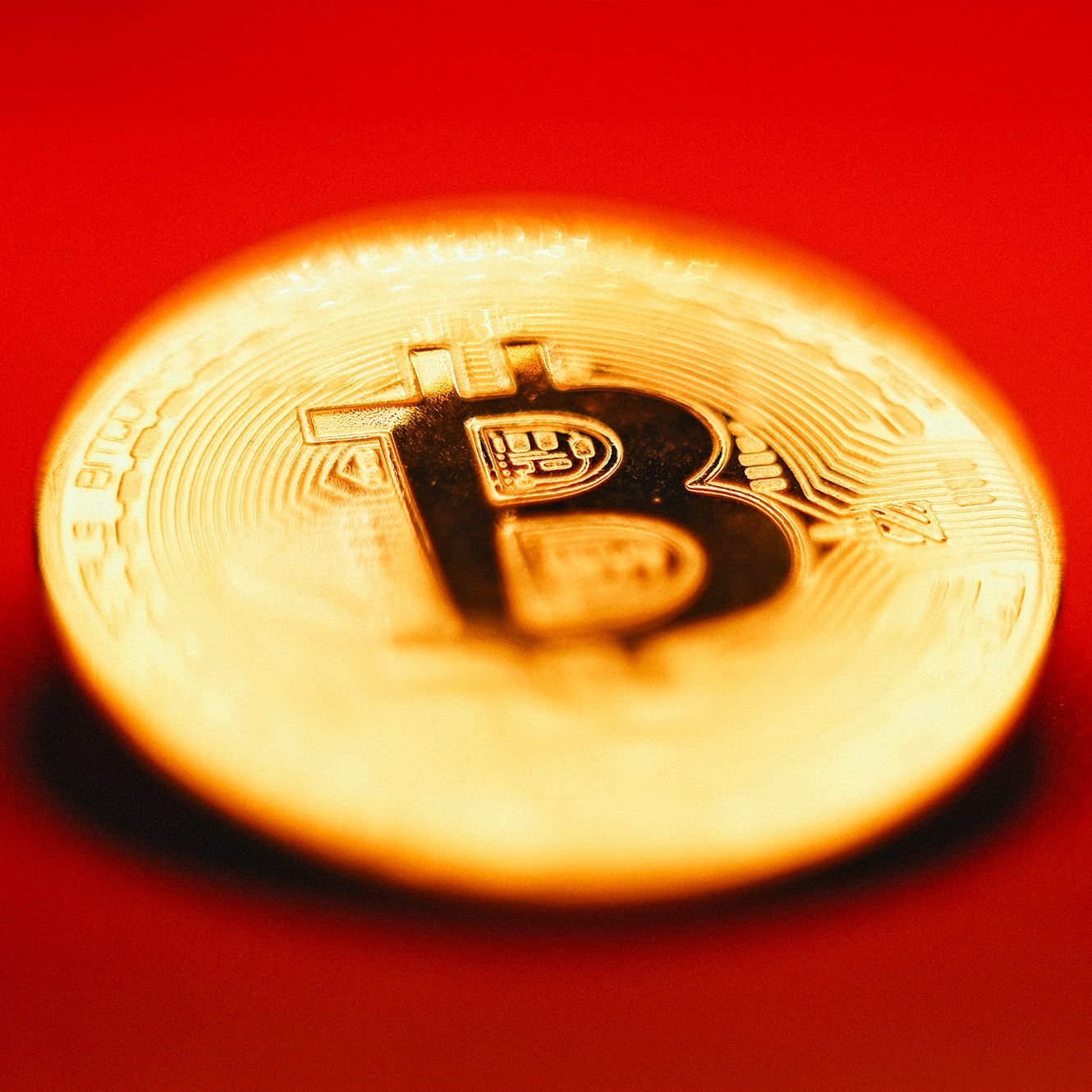 Chef der Krypto-App Bison über Bitcoin: „BTC könnte über 100.000 Dollar  steigen“