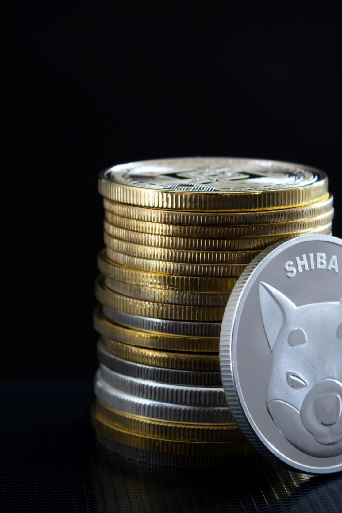 Shiba Inu Coin (SHIB): Kurs, Prognose & Chancen der Kryptowährung