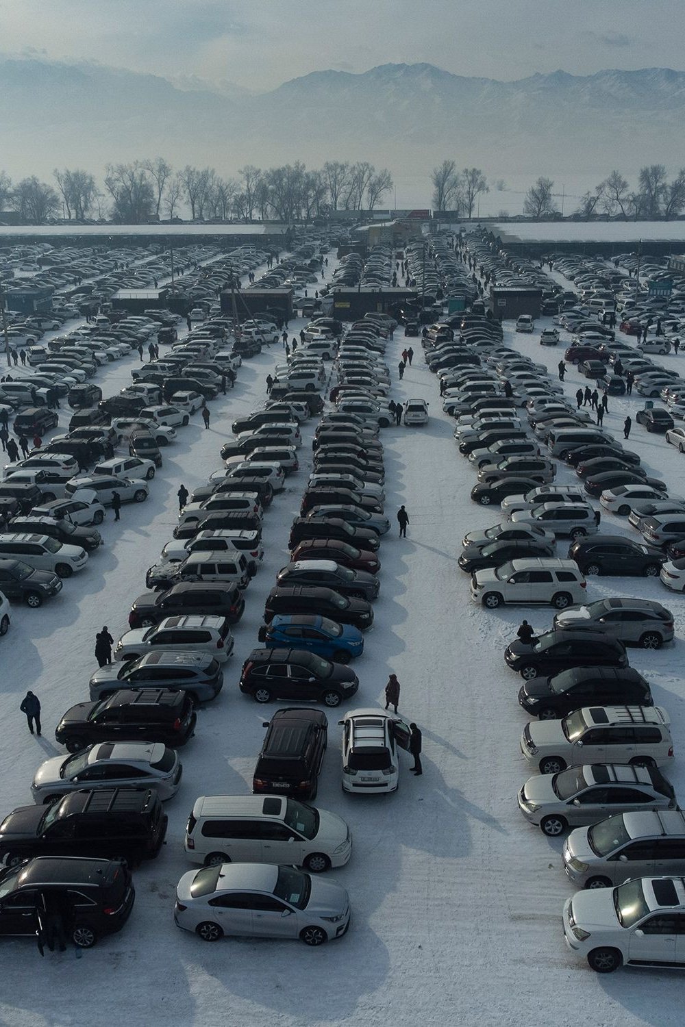 Ukraine-Krieg: Autoverkäufe trotz Sanktionen – wo die Russen Autos kaufen