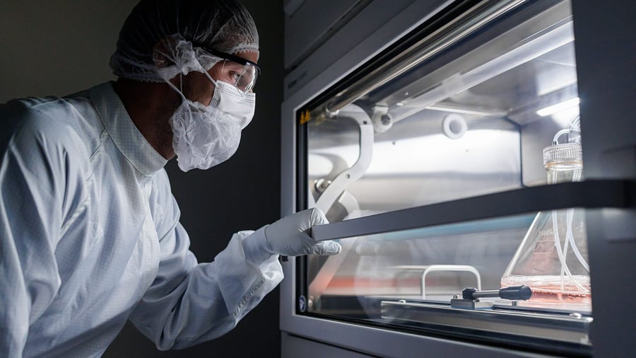 Bayer : Die Hoffnung kommt aus dem Gen-Labor