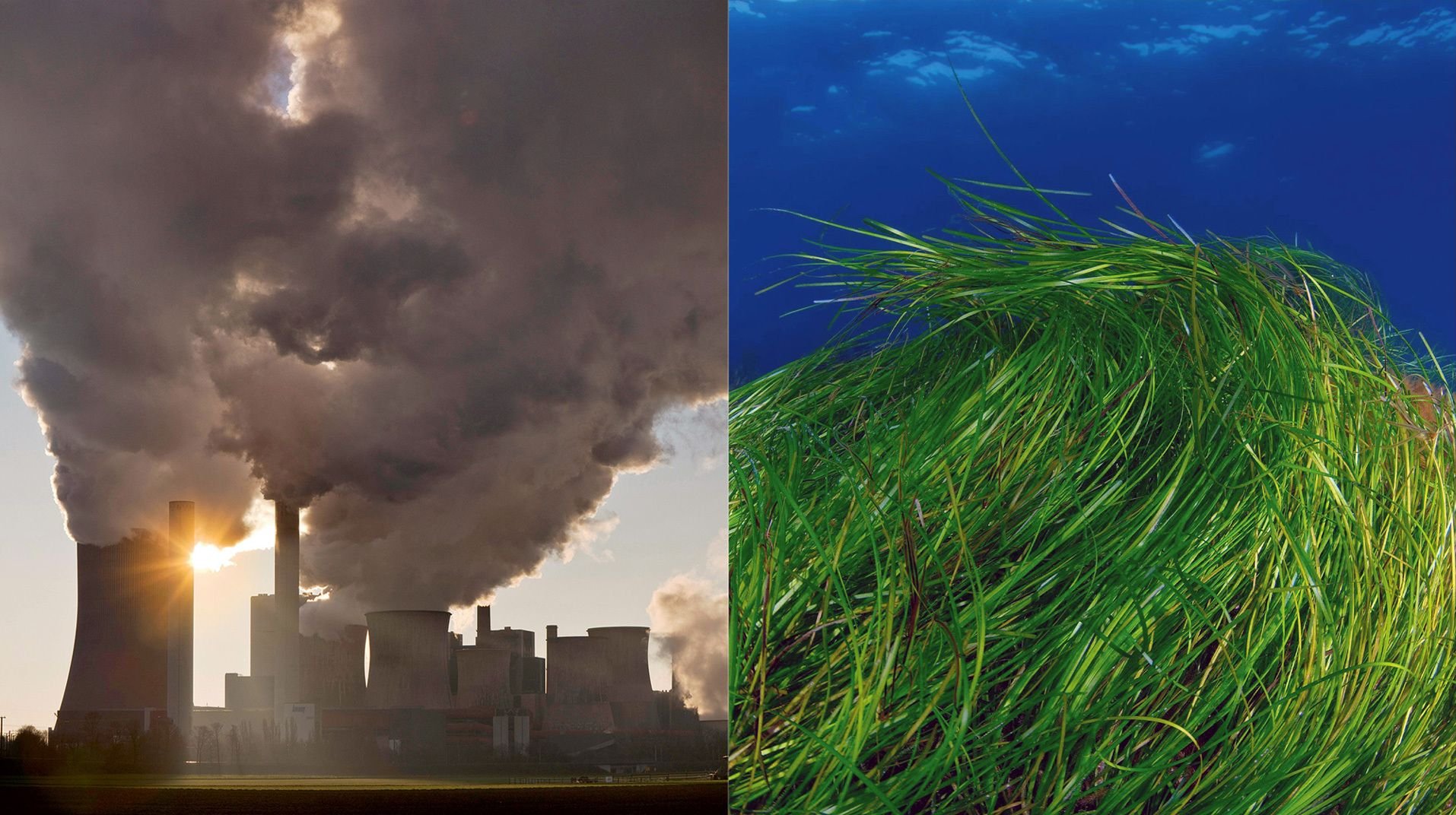 Klimawandel: Wie kann CO2 effektiv aus der Luft gefiltert werden?