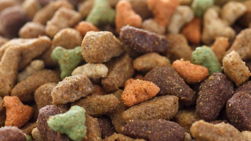 Beneful Hundefutter: Nestl-Tochter soll Hunde vergiftet haben