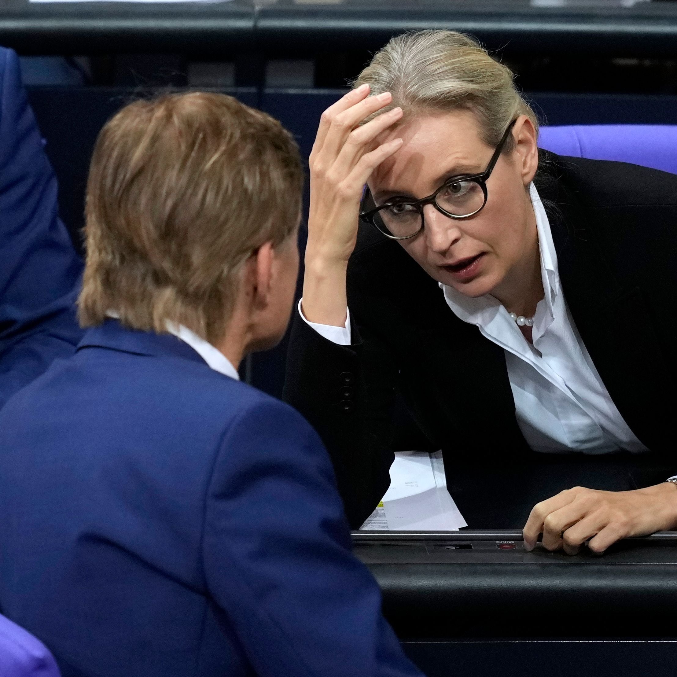 AfD: Alice Weidel ist das Gesicht, Bernd Baumann hat das sagen