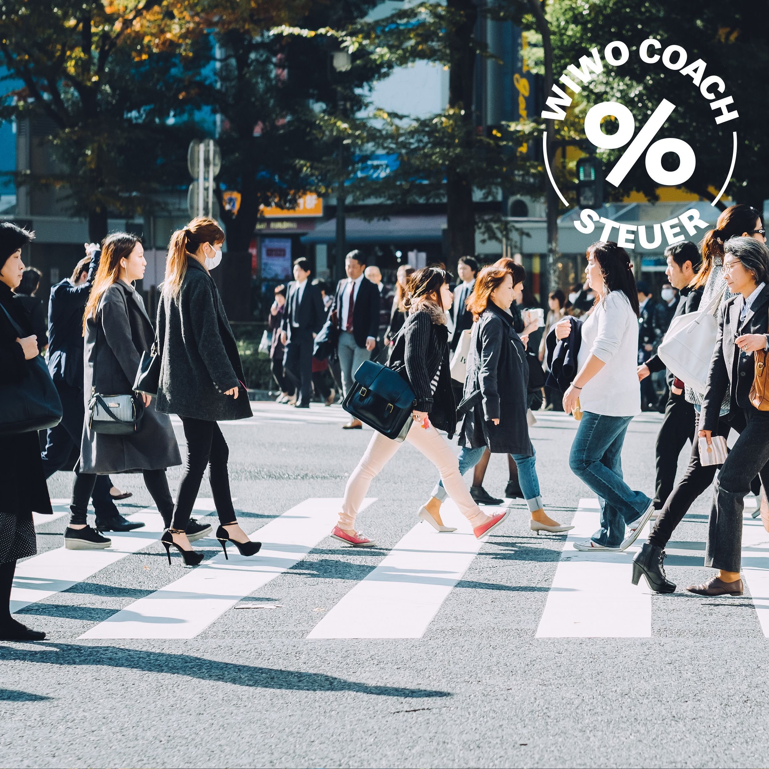 Crowdinvesting: So lassen sich Verluste von der Steuer absetzen