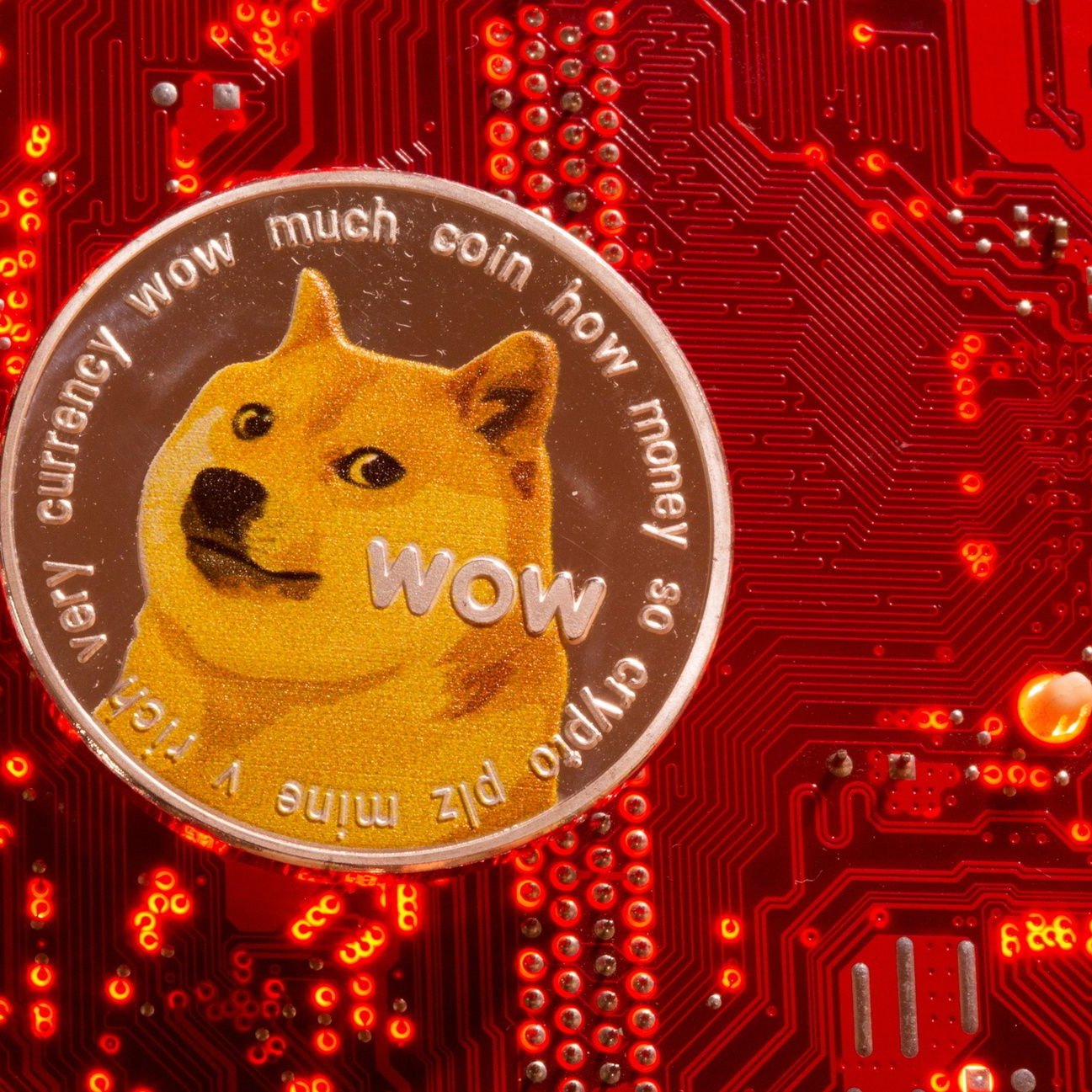 Bitcoin Münze Elon Musk Tweetet Und Dogecoin (DOGE) Dreht Steil Goldene  Sammler Münzen