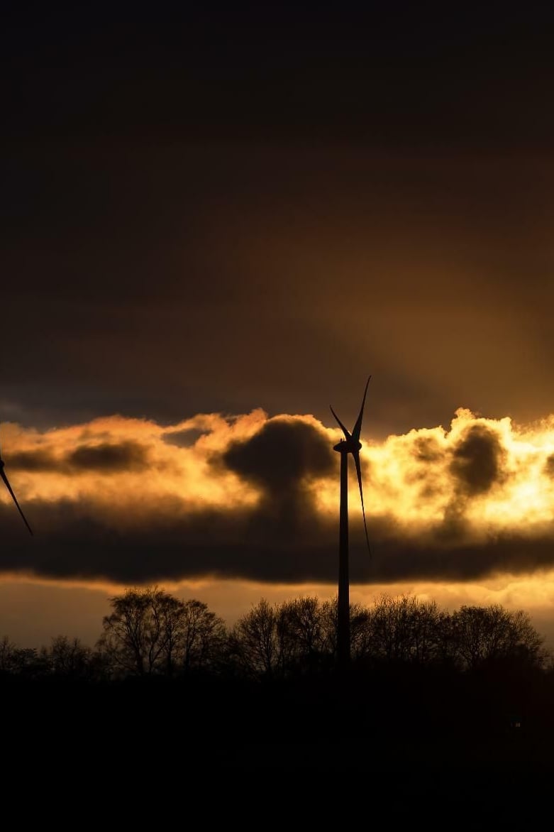 Windenergie: Wenn Anwohner unter Windparks leiden