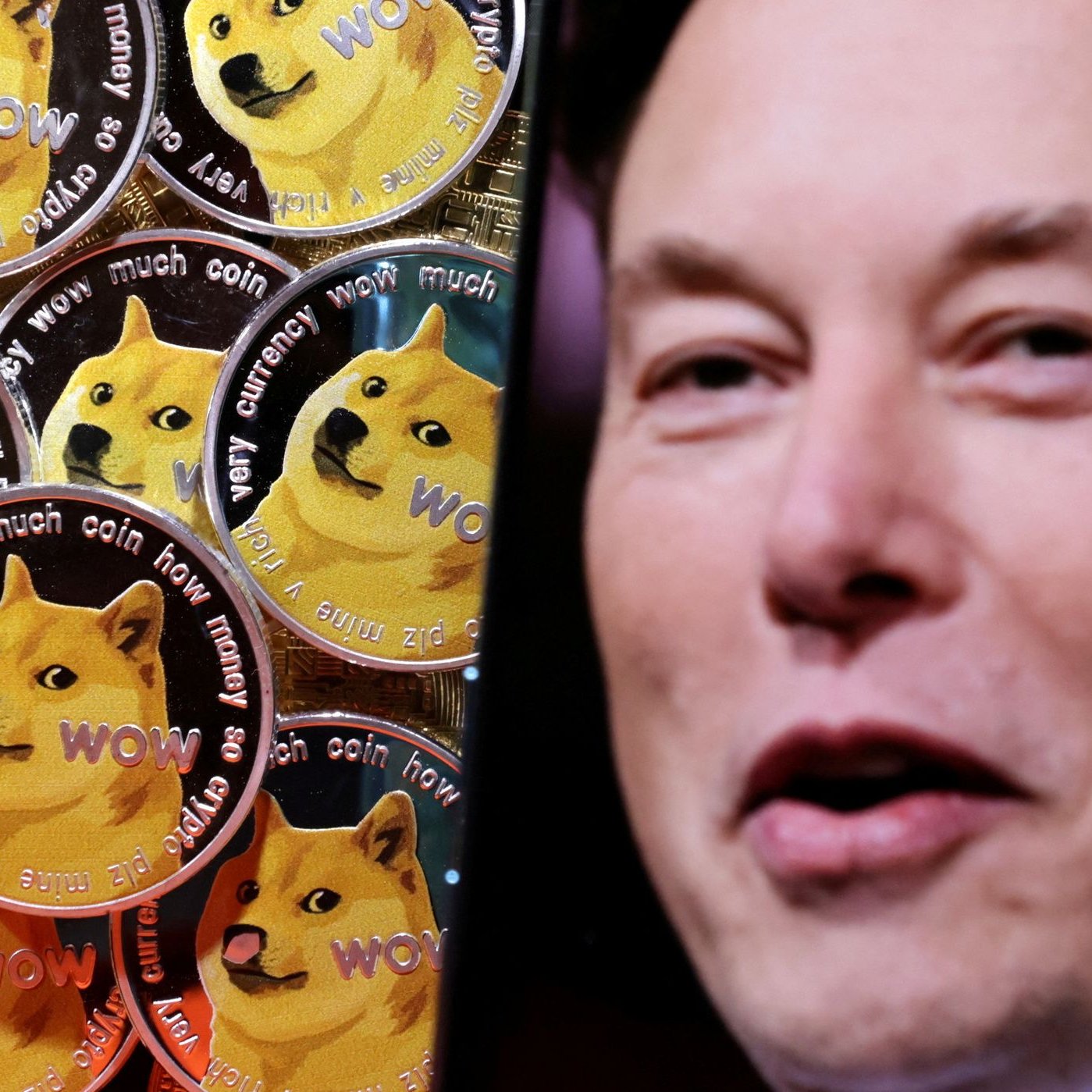 Bitcoin, Dogecoin und Co.: Elon Musk und das Krypto-Wunder