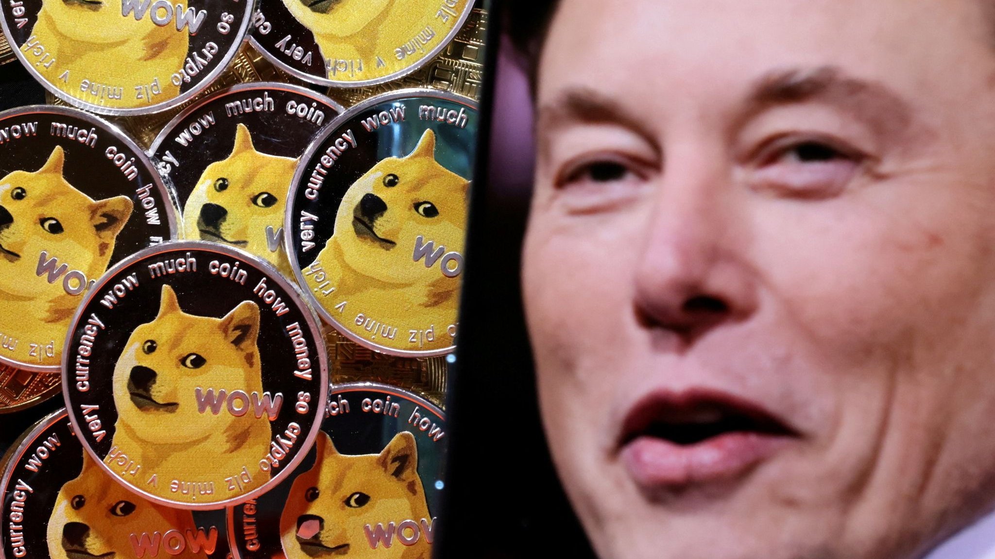 Bitcoin, Dogecoin und Co.: Elon Musk und das Krypto-Wunder
