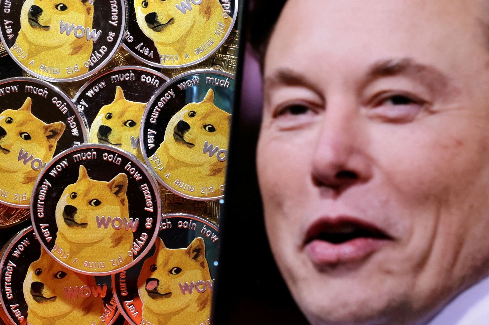 Bitcoin, Dogecoin und Co.: Elon Musk und das Krypto-Wunder