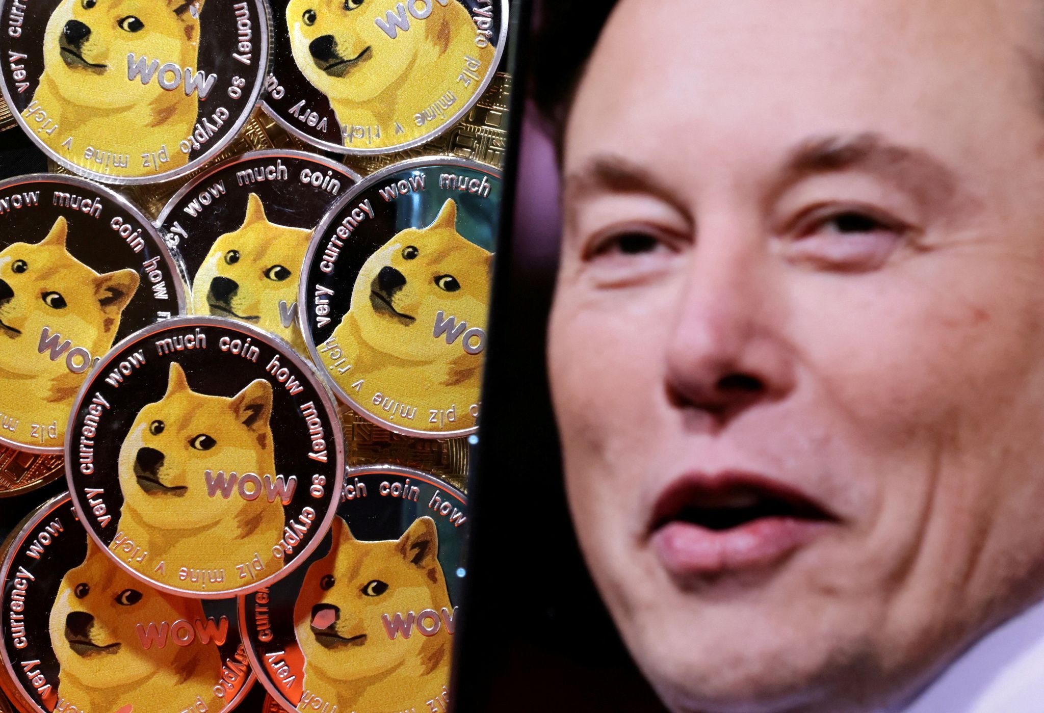 Bitcoin, Dogecoin und Co.: Elon Musk und das Krypto-Wunder