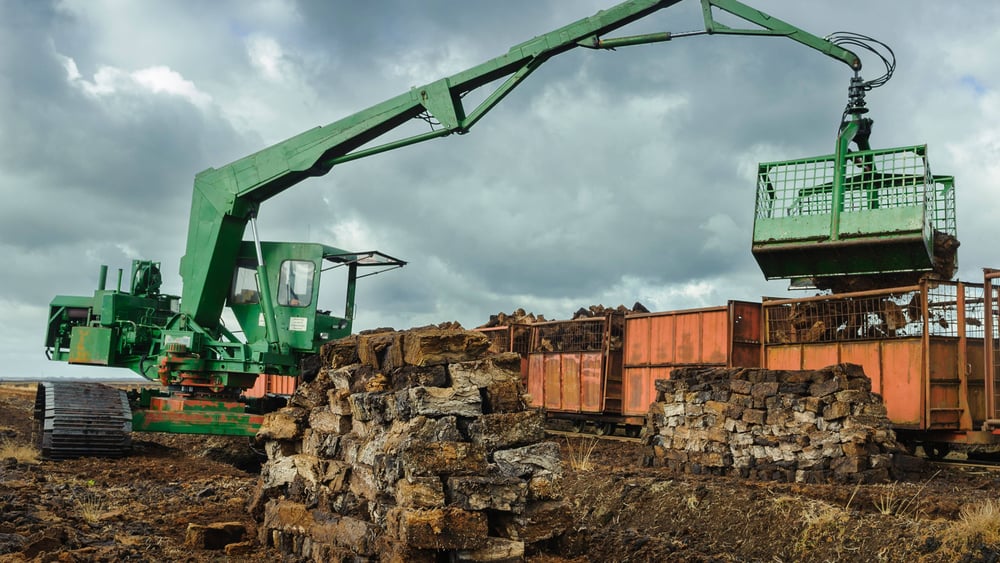 wann sollte man bambus düngen Bambusdünger - Mineralischer NPK Flüssigdünger mit Stickstoff main image 0
