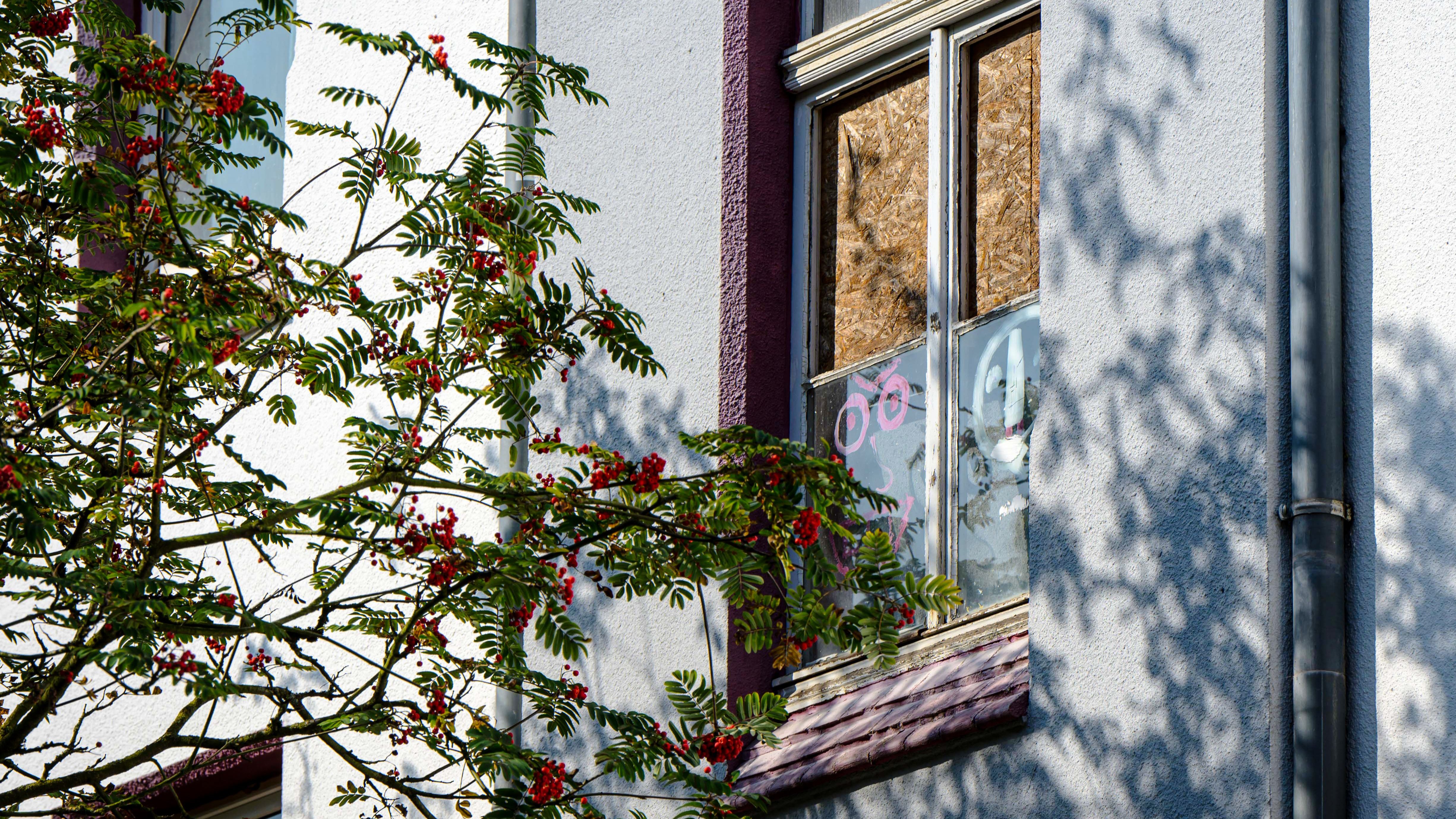 Immobilien: Vermieten muss sich lohnen!