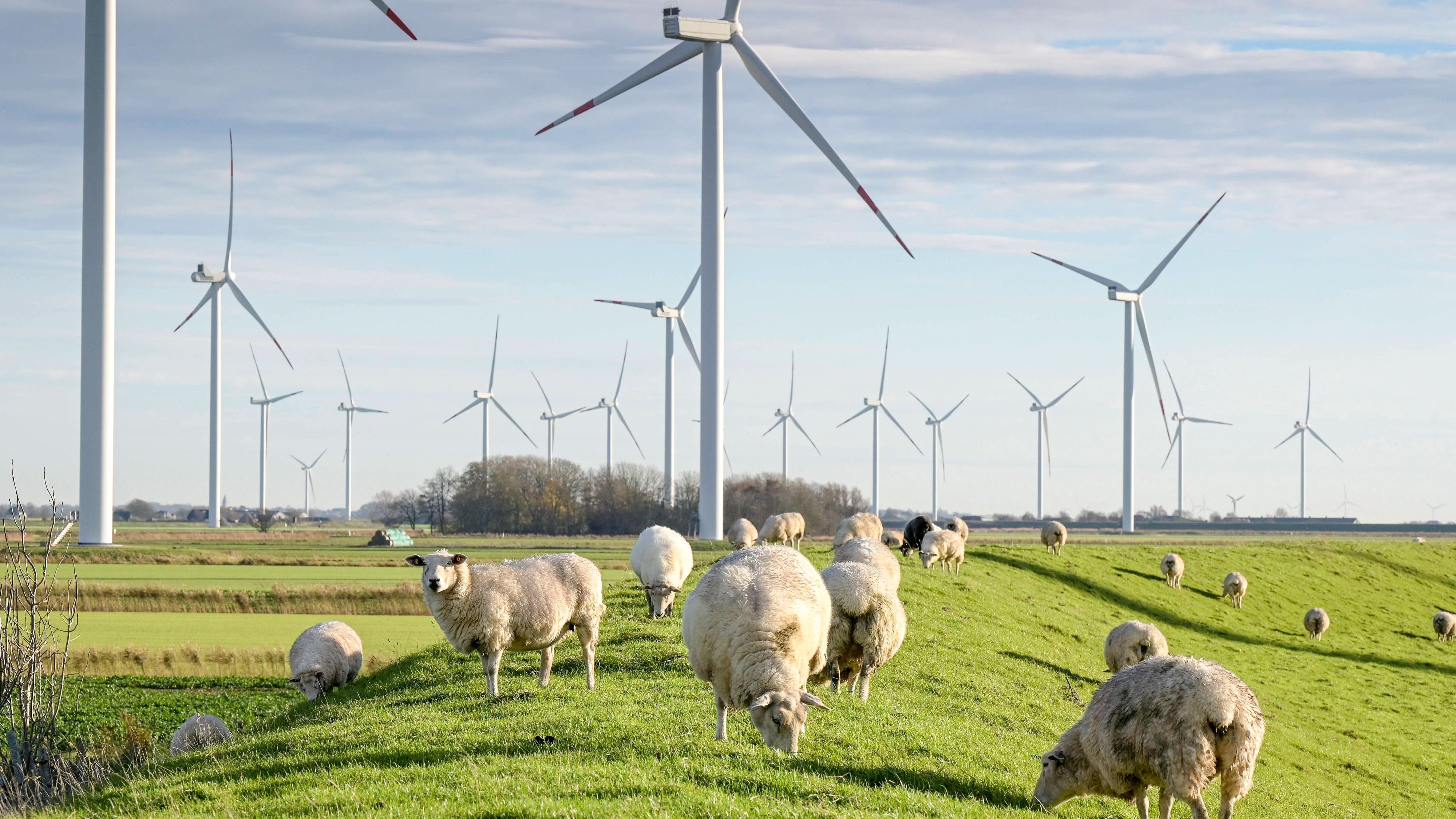 Katherina Reiche: Das sind die Risiken ihrer Energiepolitik